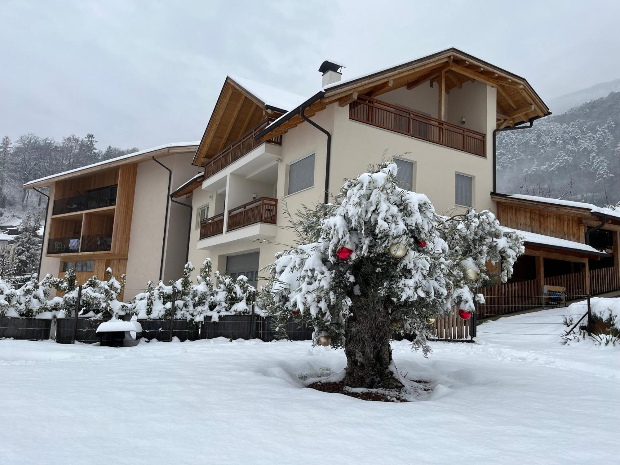 Egarter Apartment Appiano Sulla Strada Del Vino Exterior foto